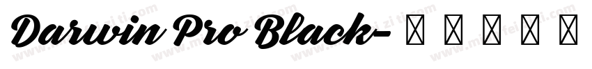 Darwin Pro Black字体转换